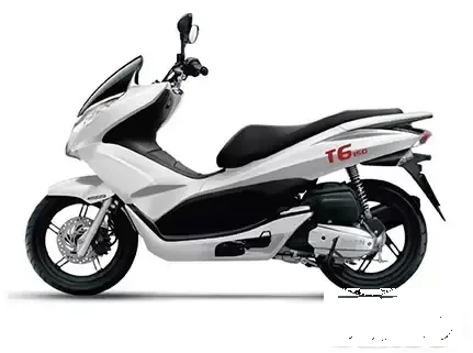 Znen T6
