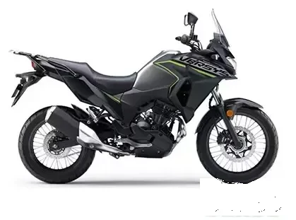 Kawasaki Versys X 300 side view