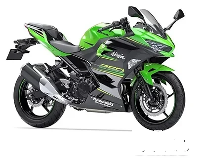 Kawasaki Ninja 250 side view