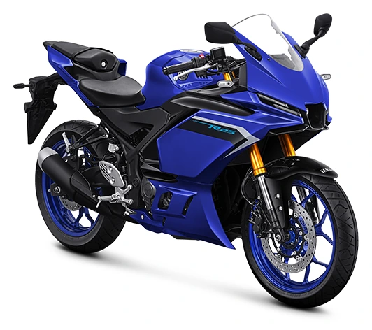 Yamaha YZF-R25