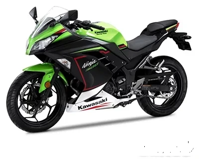 Kawasaki Ninja 300 side view