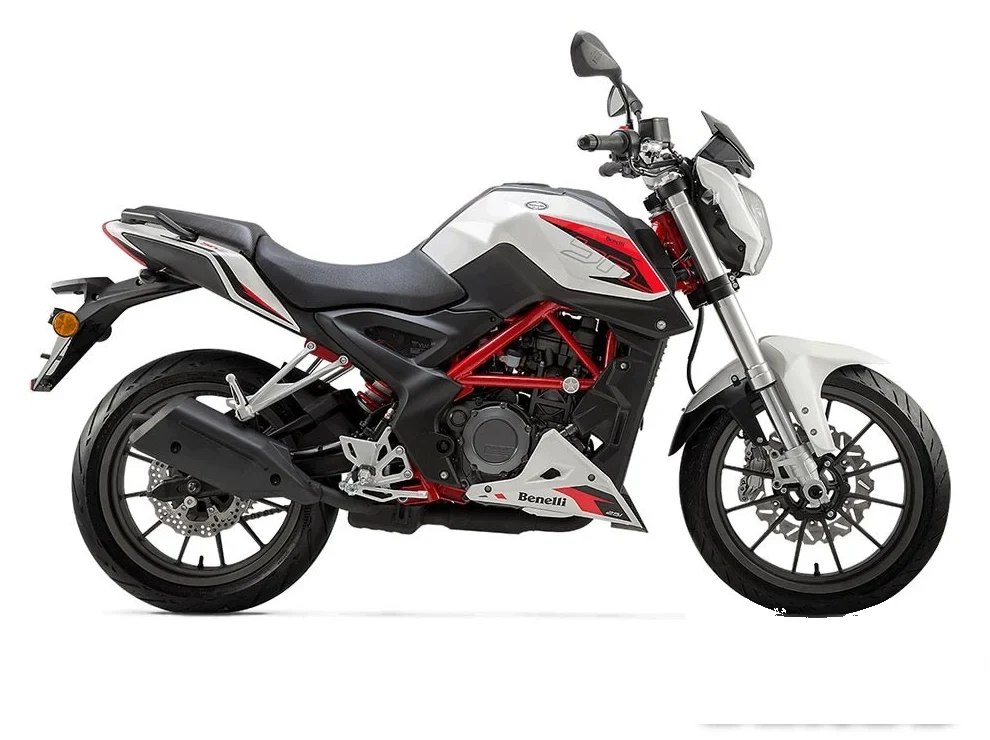 Benelli BN 251 side view