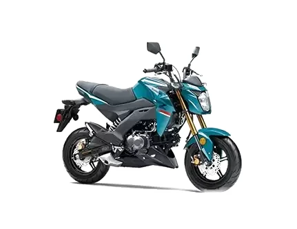 Kawasaki Z125 PRO Standard side view